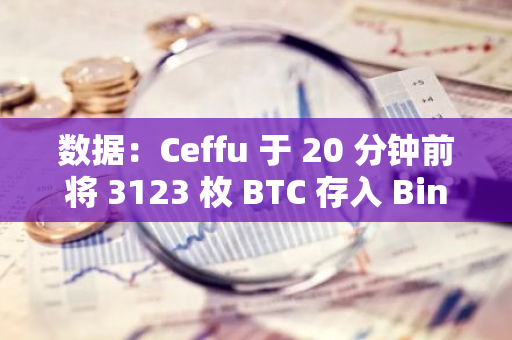 数据：Ceffu 于 20 分钟前将 3123 枚 BTC 存入 Binance，约 1.81 亿美元
