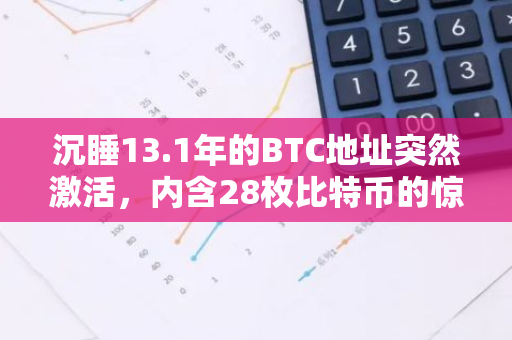 沉睡13.1年的BTC地址突然激活，内含28枚比特币的惊人发现：一个长期休眠的数字宝藏