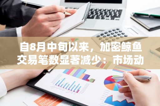 自8月中旬以来，加密鲸鱼交易笔数显著减少：市场动态与影响因素分析