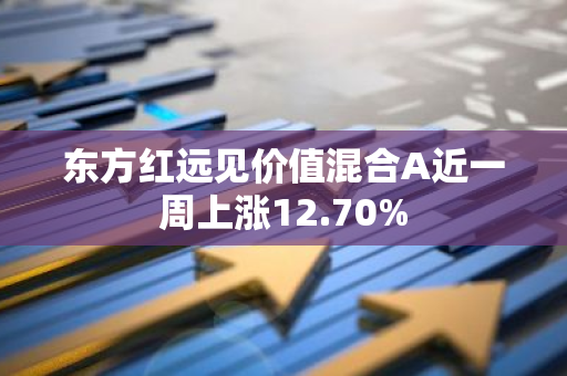 东方红远见价值混合A近一周上涨12.70%
