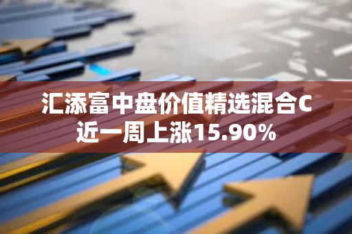 汇添富中盘价值精选混合C近一周上涨15.90%