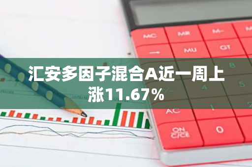 汇安多因子混合A近一周上涨11.67%