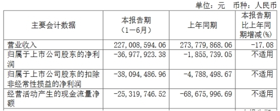信宇人上半年亏损 2023年上市募5.8亿当年净利降
