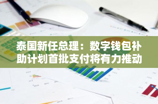 泰国新任总理：数字钱包补助计划首批支付将有力推动经济发展