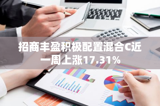 招商丰盈积极配置混合C近一周上涨17.31%