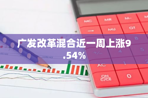 广发改革混合近一周上涨9.54%