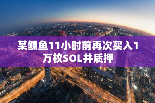 某鲸鱼11小时前再次买入1万枚SOL并质押