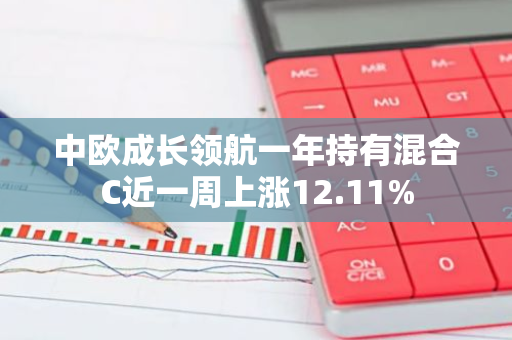 中欧成长领航一年持有混合C近一周上涨12.11%