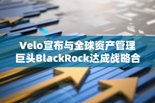 Velo宣布与全球资产管理巨头BlackRock达成战略合作，推动金融科技创新