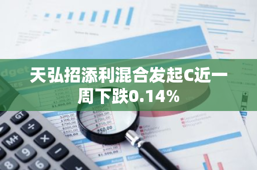 天弘招添利混合发起C近一周下跌0.14%