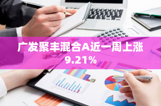 广发聚丰混合A近一周上涨9.21%