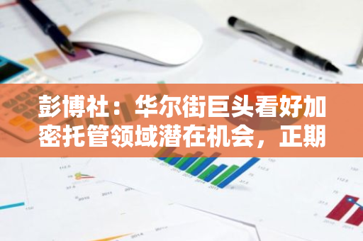 彭博社：华尔街巨头看好加密托管领域潜在机会，正期待大选结果及监管明确