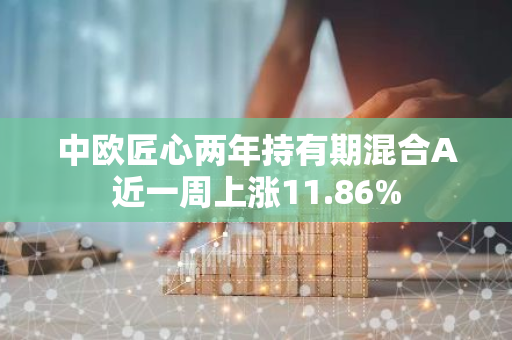 中欧匠心两年持有期混合A近一周上涨11.86%