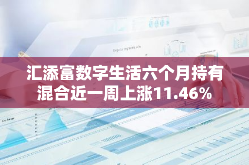 汇添富数字生活六个月持有混合近一周上涨11.46%