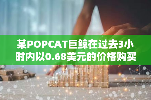 某POPCAT巨鲸在过去3小时内以0.68美元的价格购买236万枚POPCAT