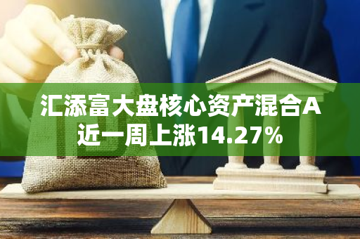 汇添富大盘核心资产混合A近一周上涨14.27%