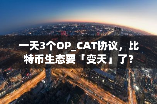 一天3个OP_CAT协议，比特币生态要「变天」了？