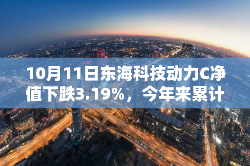 10月11日东海科技动力C净值下跌3.19%，今年来累计下跌18.04%