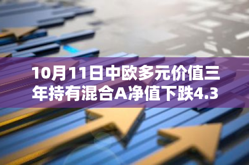 10月11日中欧多元价值三年持有混合A净值下跌4.36%，今年来累计上涨11.98%