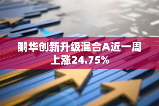 鹏华创新升级混合A近一周上涨24.75%