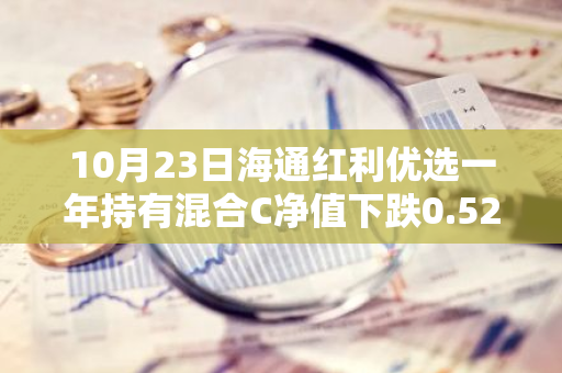 10月23日海通红利优选一年持有混合C净值下跌0.52%，近3个月累计上涨4.6%