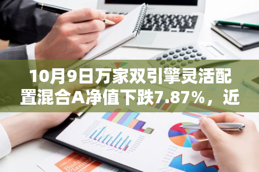 10月9日万家双引擎灵活配置混合A净值下跌7.87%，近3个月累计下跌9.99%