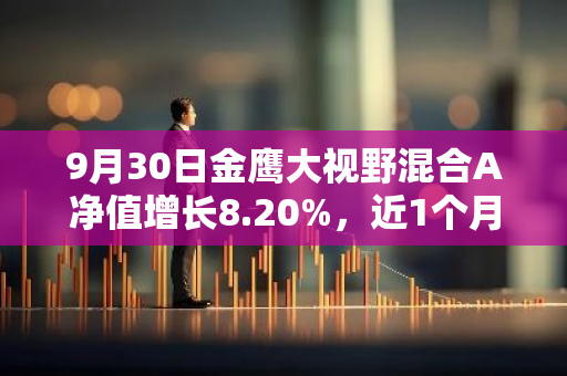 9月30日金鹰大视野混合A净值增长8.20%，近1个月累计上涨20.29%