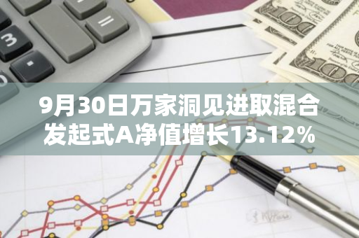 9月30日万家洞见进取混合发起式A净值增长13.12%，近1个月累计上涨20.95%