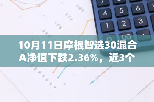 10月11日摩根智选30混合A净值下跌2.36%，近3个月累计上涨6.16%
