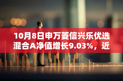 10月8日申万菱信兴乐优选混合A净值增长9.03%，近1个月累计上涨32.13%