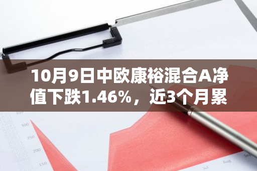 10月9日中欧康裕混合A净值下跌1.46%，近3个月累计上涨1.05%