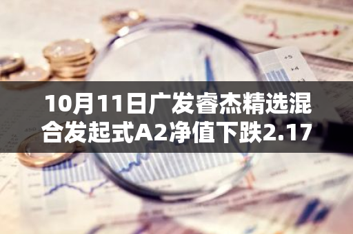 10月11日广发睿杰精选混合发起式A2净值下跌2.17%，今年来累计上涨2.85%