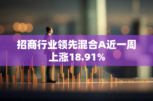 招商行业领先混合A近一周上涨18.91%