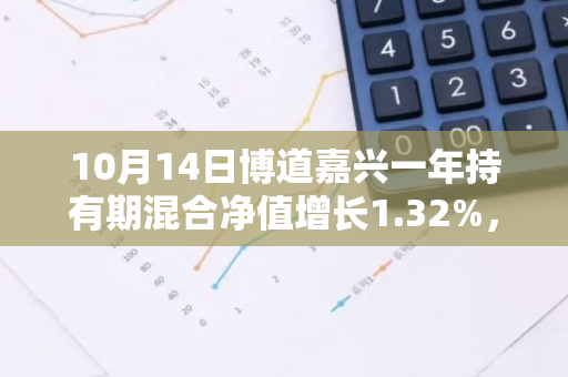 10月14日博道嘉兴一年持有期混合净值增长1.32%，近1个月累计上涨25.6%
