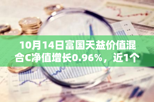 10月14日富国天益价值混合C净值增长0.96%，近1个月累计上涨17.25%