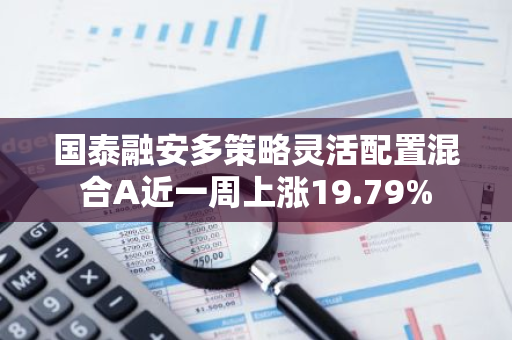 国泰融安多策略灵活配置混合A近一周上涨19.79%