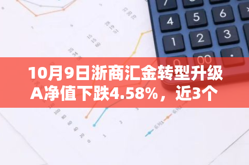 10月9日浙商汇金转型升级A净值下跌4.58%，近3个月累计上涨0.71%