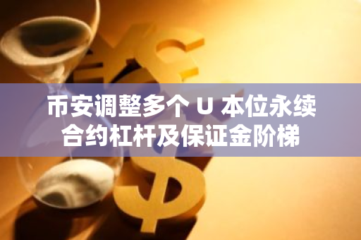 币安调整多个 U 本位永续合约杠杆及保证金阶梯