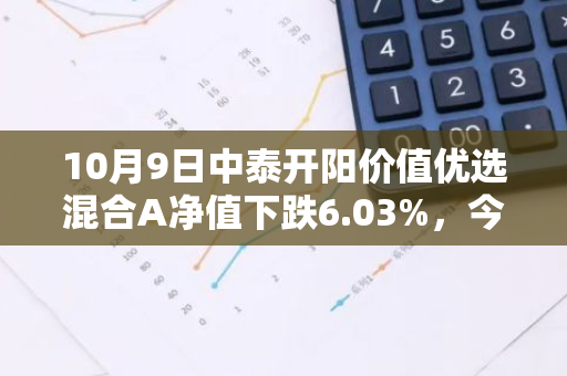 10月9日中泰开阳价值优选混合A净值下跌6.03%，今年来累计上涨4.98%
