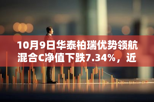 10月9日华泰柏瑞优势领航混合C净值下跌7.34%，近3个月累计上涨3.45%