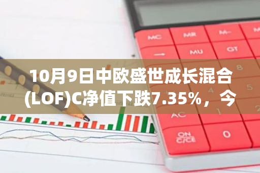 10月9日中欧盛世成长混合(LOF)C净值下跌7.35%，今年来累计上涨5.92%