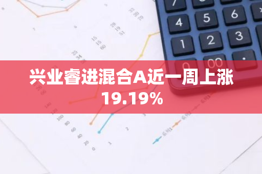 兴业睿进混合A近一周上涨19.19%