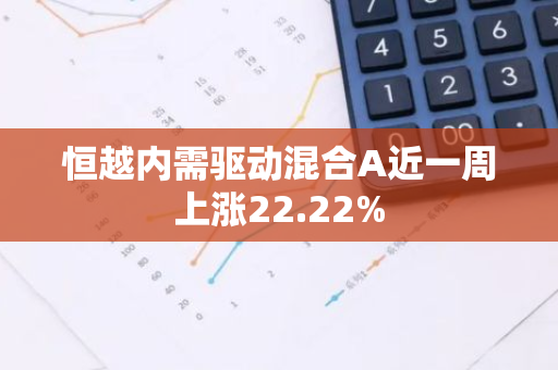恒越内需驱动混合A近一周上涨22.22%