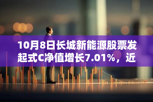 10月8日长城新能源股票发起式C净值增长7.01%，近1个月累计上涨26.44%
