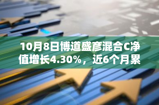 10月8日博道盛彦混合C净值增长4.30%，近6个月累计上涨26.73%