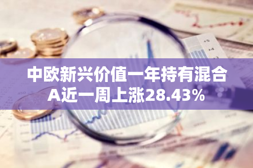 中欧新兴价值一年持有混合A近一周上涨28.43%