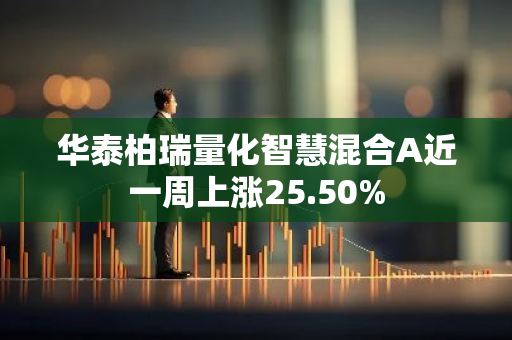 华泰柏瑞量化智慧混合A近一周上涨25.50%