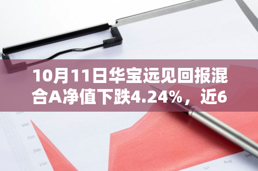 10月11日华宝远见回报混合A净值下跌4.24%，近6个月累计上涨1.38%