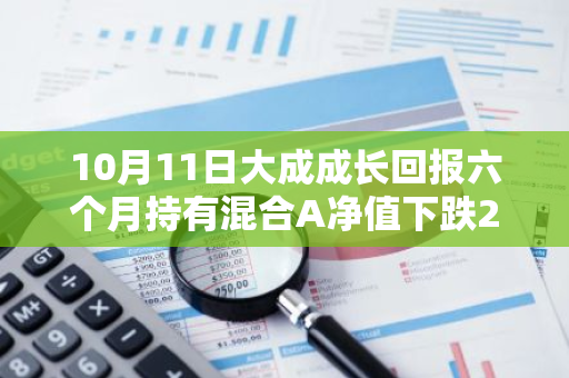 10月11日大成成长回报六个月持有混合A净值下跌2.84%，近3个月累计上涨12.54%