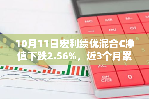 10月11日宏利绩优混合C净值下跌2.56%，近3个月累计上涨2.91%